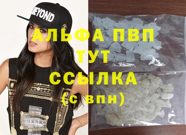 spice Дмитриев