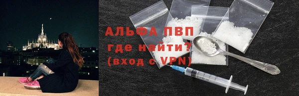 spice Дмитриев