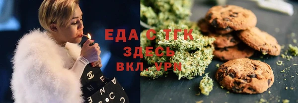 spice Дмитриев