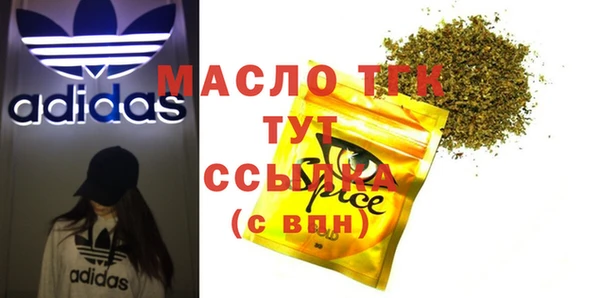 spice Дмитриев