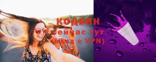 шишки Дмитров