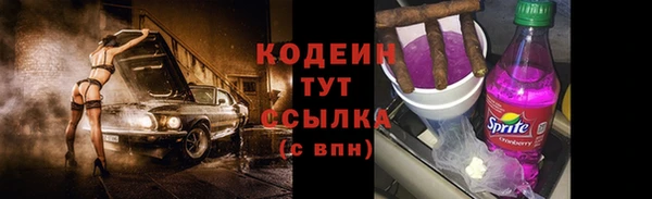 spice Дмитриев