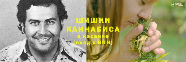 стаф Дмитровск