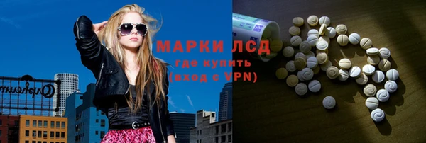 spice Дмитриев