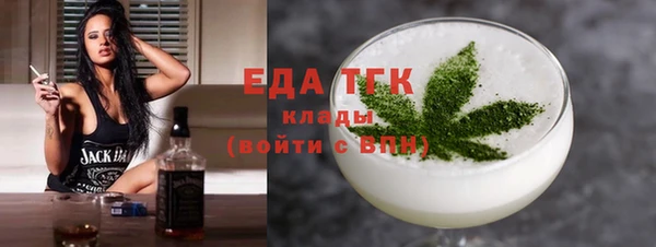 spice Дмитриев
