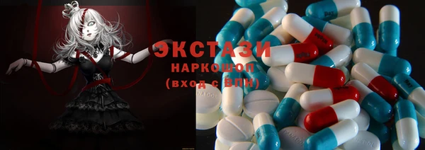 стаф Дмитровск