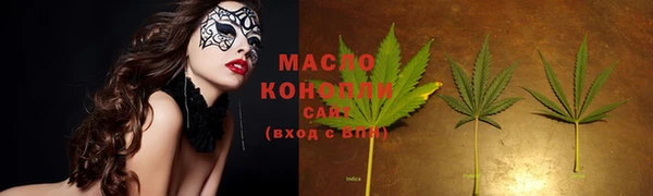 стаф Дмитровск