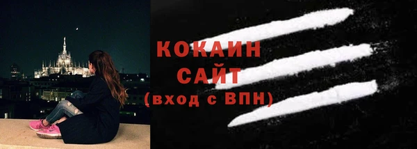 шишки Дмитров
