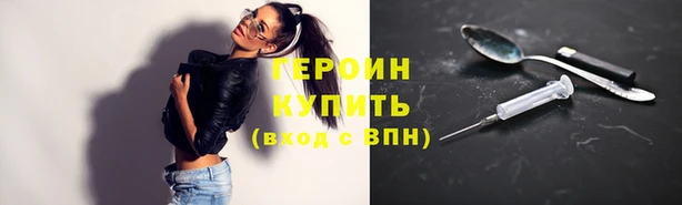 стаф Дмитровск