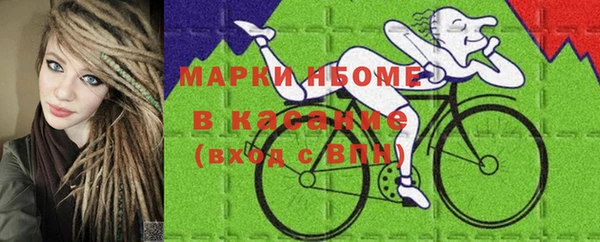 эйфоретик Ельня
