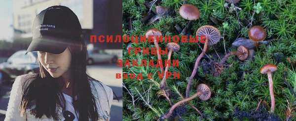 шишки Дмитров