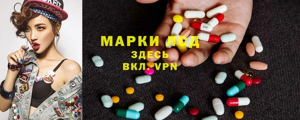 стаф Дмитровск