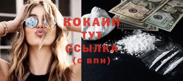 spice Дмитриев