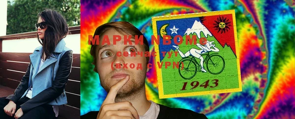 шишки Дмитров