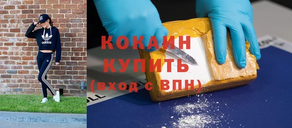 стаф Дмитровск