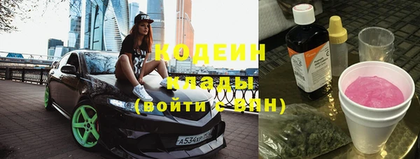 шишки Дмитров