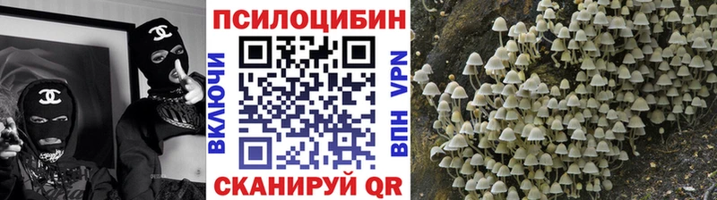 купить закладку  hydra онион  Галлюциногенные грибы ЛСД  Альметьевск 